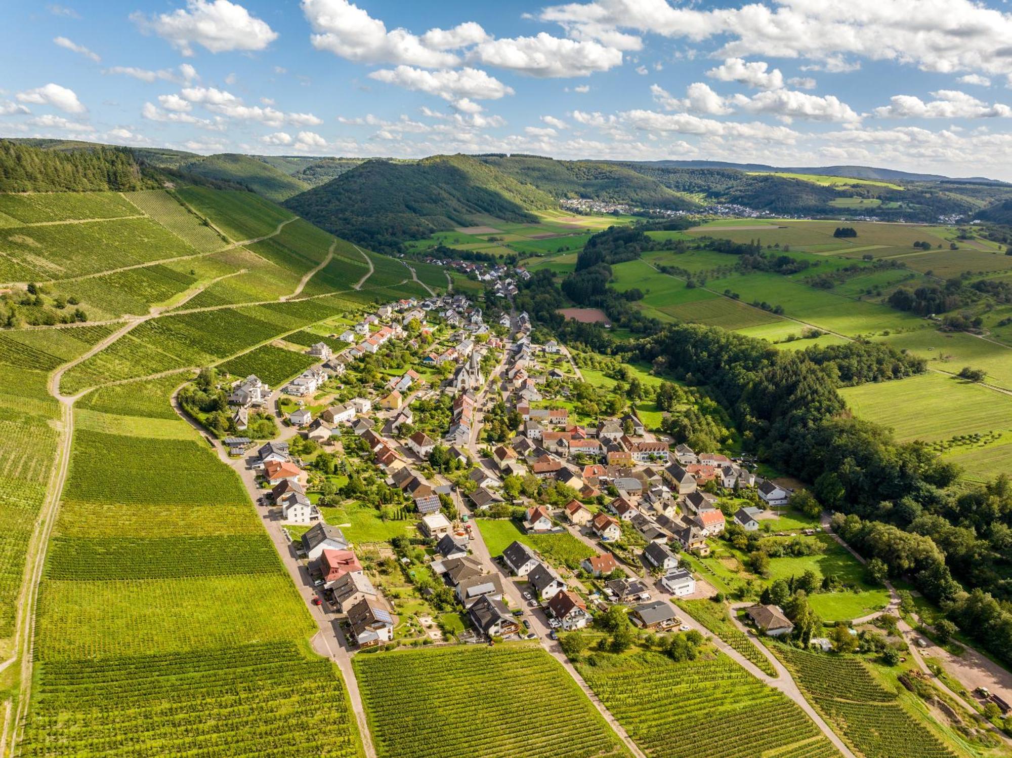 Weinhotel Restaurant Klostermuehle Ockfen Экстерьер фото